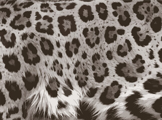 Obraz premium animal Print vector