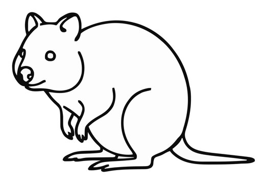 Quokka animal perspective view minimalist line art v.... Generative AI