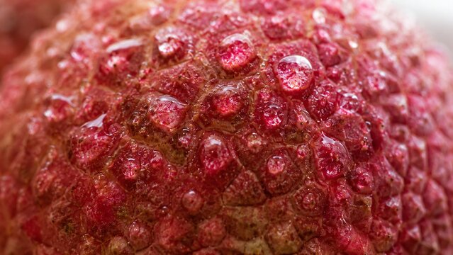 Macro detail of red lychee skin with water