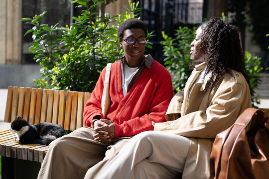 Relaxed african american couple man and woman sitting together on bench in park beside stray cat and talking, cheerful black male and female friends enjoy friendly conversation while resting outdoors