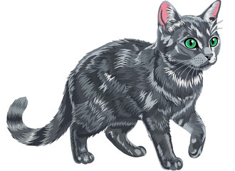 black and white cat © SasiJoshua