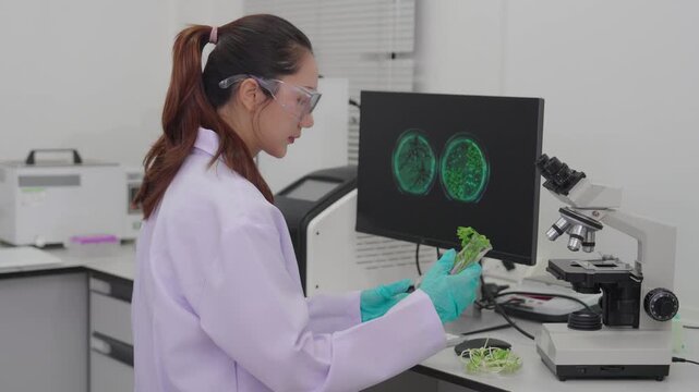 Laboratory quality control testing by food scientists and microbiologists involves analyzing vegetable samples using microscopes and clipboards, while laboratory technicians use them.
