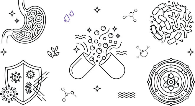 Gut health and immune system supplement vector icon set with stomach probiotics capsule microbiome vitamins and shield symbols