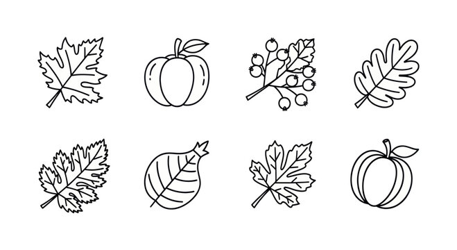 Autumn foliage and pumpkins black and white outline illustrations for seasonal decor, crafts, coloring pages, and educational activities, ideal for fall themed projects