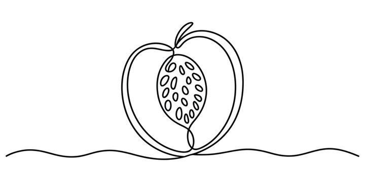 Continuous single line drawing of a peach fruit cut in half with a pit inside