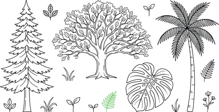 Nature trees and botanical leaves vector line art set featuring pine oak palm monstera plant icons sticker collection.