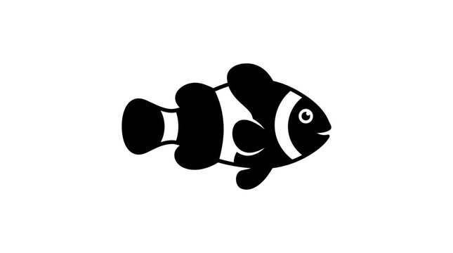 Black and white clownfish side view.