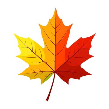 Colorful autumn maple leaf with vibrant fall colors