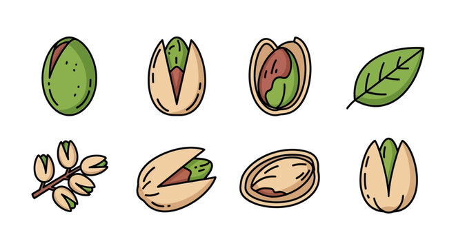 Pistachio nut and leaf illustrations.
