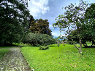 Obraz premium Cobblestone Path Through Lush Green Tropical Garden in West Java Indonesia