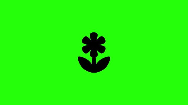 Premium 4K horizontal video showcasing a beautiful flower silhouette camera macro close up mode setting bouncing. Clean energetic popup animation perfect for nature optic lens focus specification.