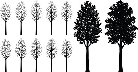 Black and white of pine trees in a row isolated on white background tree black and white monochrome © MDMOHIN