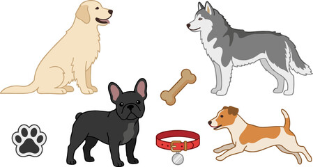 Popular Domestic Dog Breeds Illustration Set Featuring Golden Retriever Siberian Husky French Bulldog Jack Russell Terrier Collar Bone and Paw Print Symbols © Borsha