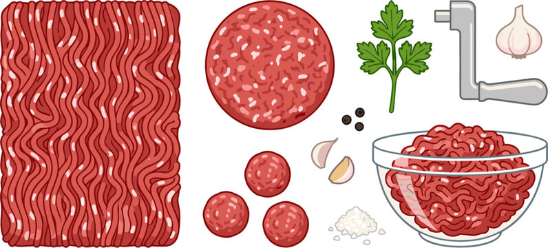 Raw Minced Meat Vector Set Featuring Fresh Ground Beef Block Bowl Burger Patty Meatballs Grinder Handle Garlic Parsley and Spices on White Background