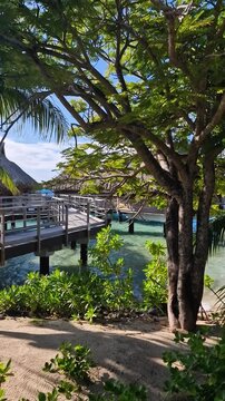 Bora Bora Island, French Polynesia. Vertical View of Luxury Bungalows Over Water and Behind Trees