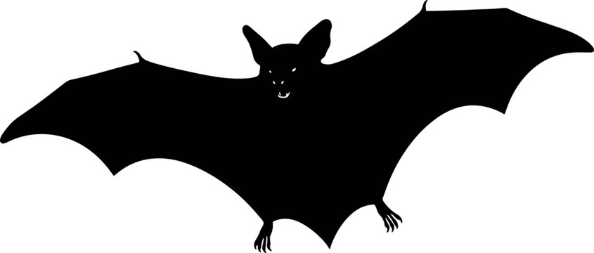 Black Bat Silhouette Flying Against White Background