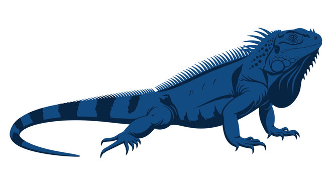 Large Blue Iguana Reptile Animal.