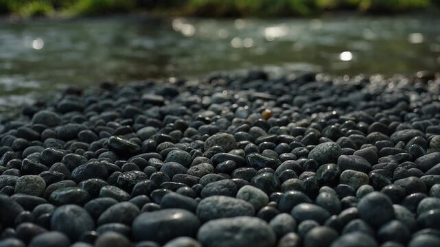 A close-up view of a collection of smooth dark pebbles on a shore with water in the background