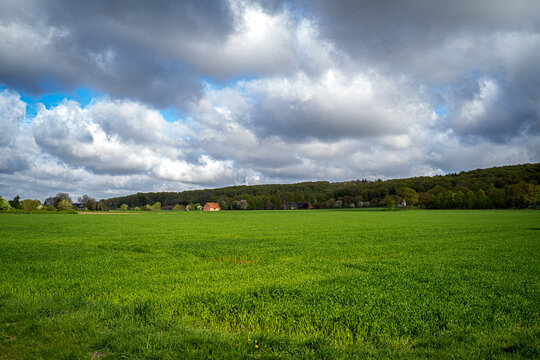 Ein Feld, ein Waldrand, ein paar verstreute H&auml;user in der Ferne. Und pl&ouml;tzlich wird aus Einfachheit etwas Gro&szlig;es.