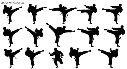Silhouette of person doing karate kicks. © Eliy