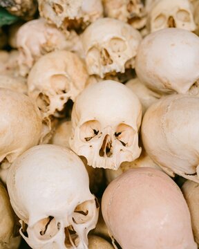 Human skull collection arranged in a dense overlapping stack for mortality concept, archaeology reference content and educational history storytelling