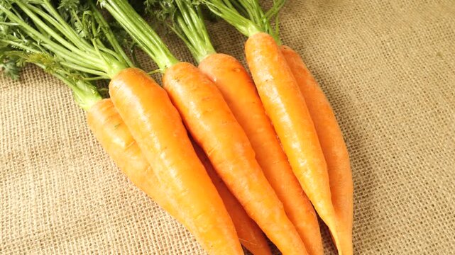 Fresh organic carrots rotating on burlap