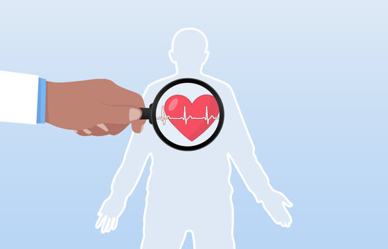 Doctor examines heart with magnifying glass. heart check-up evaluates cardiovascular risk factors and detects early signs of heart disease
