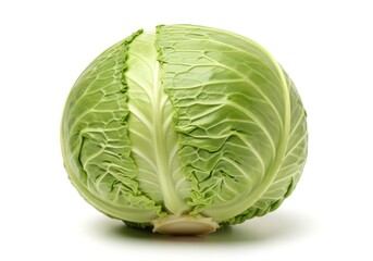 Fototapeta premium Fresh whole green cabbage with leaves slightly open isolated on white background