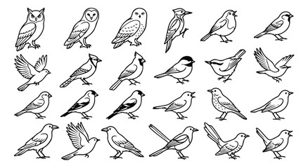 Minimalist bird line art collection, 24 wild bird icons in black and white vector style, elegant avian silhouettes for nature branding and logos © Farah-Studio
