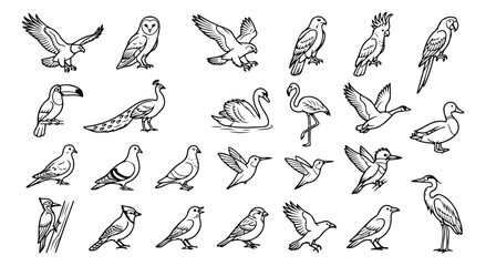 Fototapeta premium Minimalist bird line art collection, set of 25 avian vector icons, black and white wildlife illustrations for nature branding and educational design