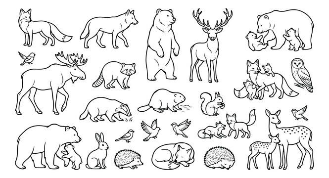 Minimalist woodland animal line art collection, hand drawn forest wildlife vector set, black and white nature illustrations for coloring books