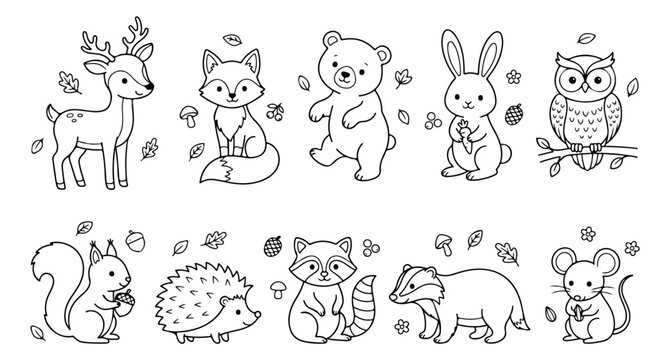 Cute woodland animals coloring page vector set, hand drawn forest creatures line art, 10 black and white animal characters for kids activities