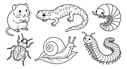 Cute forest animals and insects coloring page vector, hand drawn garden creatures set, black and white line art of snail mouse and salamander © Farah-Studio