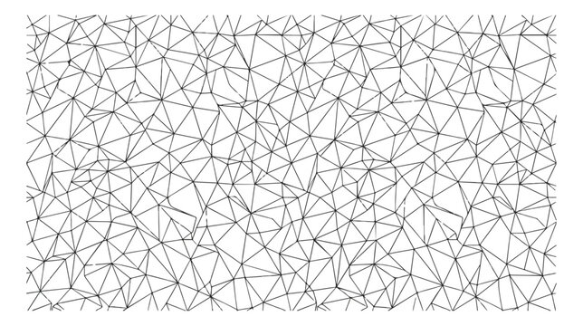 Geometric low poly wireframe background, abstract black and white mesh vector, minimalist plexus network pattern for technology and data design