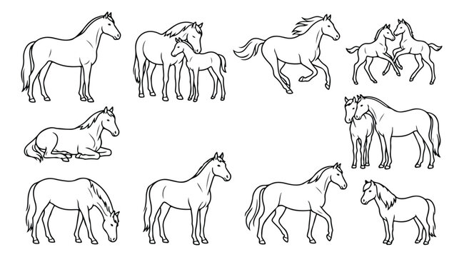 Minimalist horse line art collection, hand drawn equine sketches with mares and foals, black and white horse vector set for coloring and logos