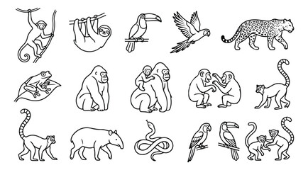 Obraz premium Tropical jungle animals line art collection, 15 black and white wildlife vector icons, exotic rainforest fauna illustrations for coloring