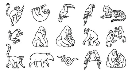 Tropical jungle animals line art icons, set of 15 black and white wildlife vector illustrations, exotic rainforest fauna coloring book elements © Farah-Studio