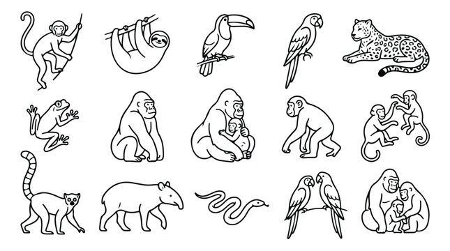 Tropical jungle animals line art icons, set of 15 black and white wildlife vector illustrations, exotic rainforest fauna coloring book elements