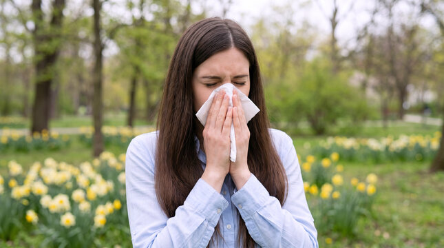 Young brunette woman blowing nose with tissue in blooming spring park with yellow flowers and hayfever allergy symptoms