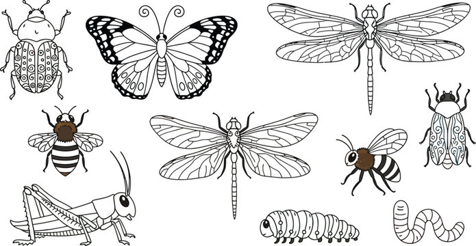 Collection of cute cartoon insects and bugs set featuring butterfly dragonfly bee beetle caterpillar and grasshopper vector illustration.Collection of cute cartoon insects and bugs set featuring butte