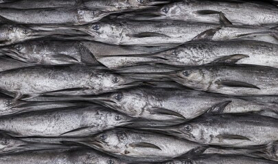 Fototapeta premium Swordfish Fish Background. Fish Background. Generative Ai