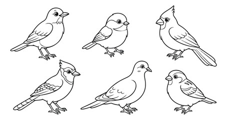 Hand drawn bird coloring page set, black and white garden birds vector illustrations, 6 songbird line art icons for kids activity books © Muhammad