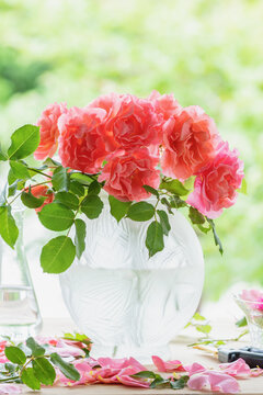 ガラスの花瓶に活けられたサン・セット・グロウという薔薇の花