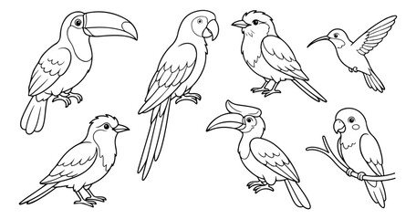 Obraz premium Tropical bird coloring page set, exotic parrot and toucan line art illustrations, collection of 7 wild bird vector outlines for kids activity