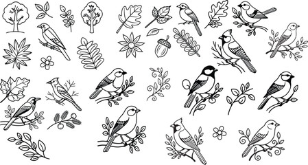 Obraz premium Birds and autumn leaves vector design elements set.