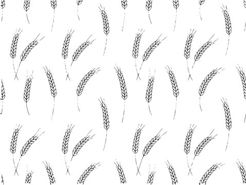 Simple black and white wheat stalks pattern white background, grain field harvest