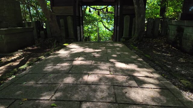 風に揺れる木陰　宇土市　住吉神社　