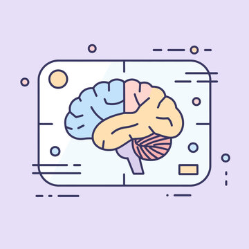 Anatomy of a human brain with colorful sections and a light purple background