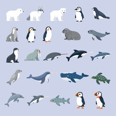 A collection of various arctic and aquatic animals on a light blue background © Dawood