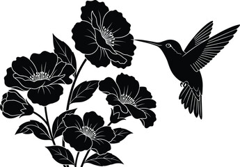 Hummingbird and flowers silhouette vector illustration, nature icon design, nectar feeding symbol artwork, wildlife concept background set © MstHena